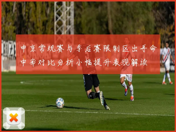 申京常规赛与季后赛限制区出手命中率对比分析小幅提升表现解读